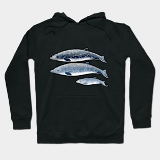 Blainville´s beaked whales Hoodie